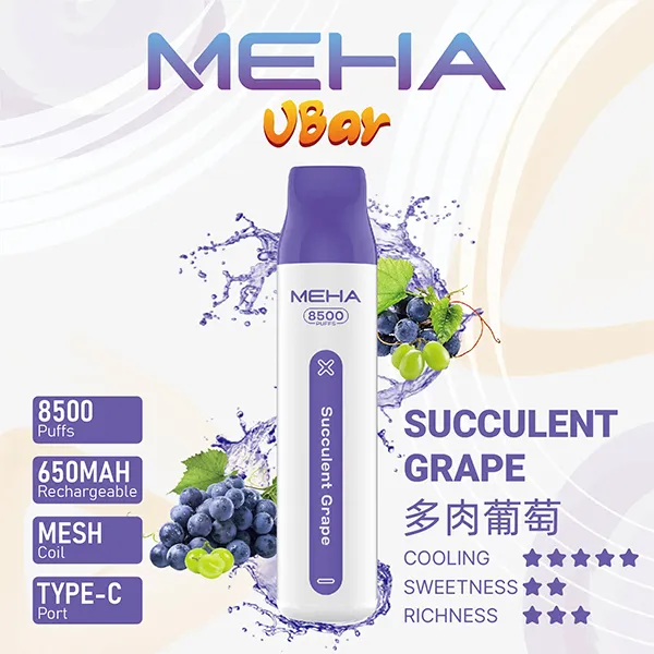 魅嗨拋棄式／一次性電子煙8500口 多肉葡萄